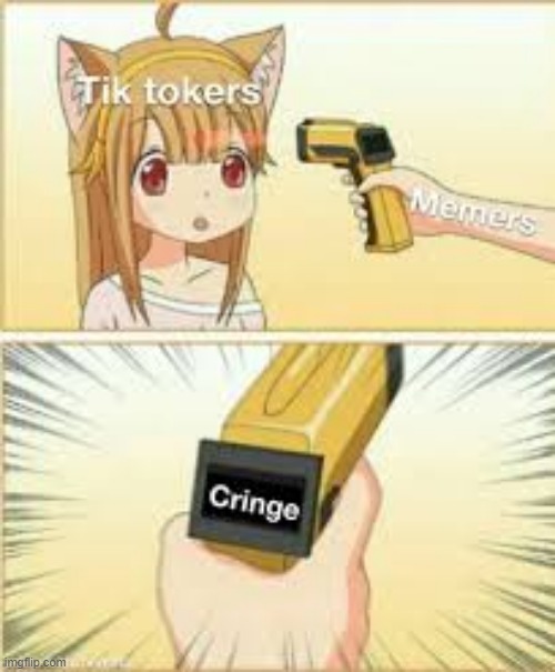 image tagged in memes | made w/ Imgflip meme maker