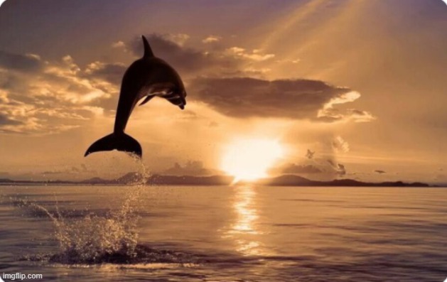 image tagged in awesome | made w/ Imgflip meme maker