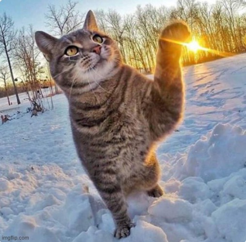 image tagged in awesome | made w/ Imgflip meme maker