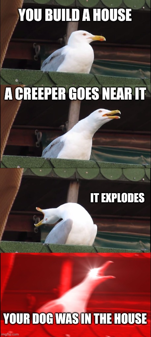 Rip dog | YOU BUILD A HOUSE; A CREEPER GOES NEAR IT; IT EXPLODES; YOUR DOG WAS IN THE HOUSE | image tagged in memes,inhaling seagull | made w/ Imgflip meme maker