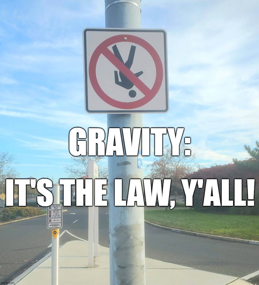 Not Going Head Over Heels | GRAVITY:; IT'S THE LAW, Y'ALL! | image tagged in meme,memes,humor,signs | made w/ Imgflip meme maker