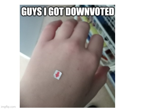 GUYS I GOT DOWNVOTED | made w/ Imgflip meme maker