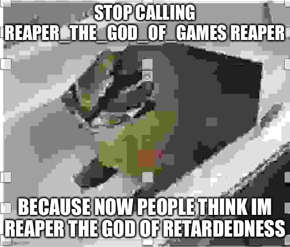 Very low quality floppa | STOP CALLING REAPER_THE_GOD_OF_GAMES REAPER; BECAUSE NOW PEOPLE THINK IM REAPER THE GOD OF RETARDEDNESS | image tagged in very low quality floppa | made w/ Imgflip meme maker