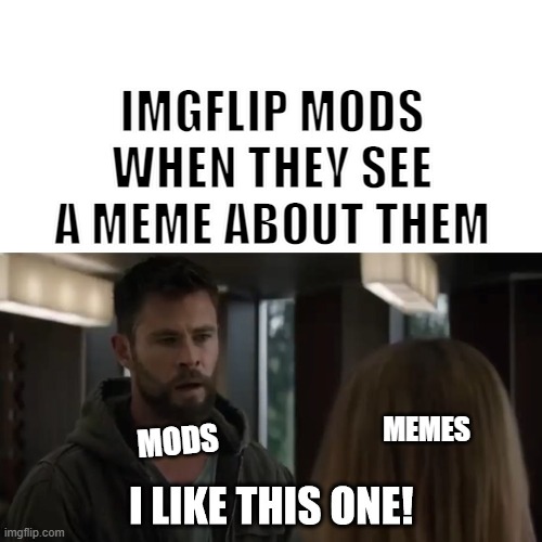 Thank you mods for your hard work! :) |  IMGFLIP MODS WHEN THEY SEE A MEME ABOUT THEM; MEMES; MODS | image tagged in i like this one,moderators,imgflip mods,relatable,funny | made w/ Imgflip meme maker