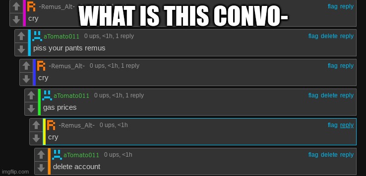 WHAT IS THIS CONVO- | made w/ Imgflip meme maker