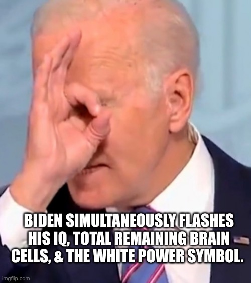 Biden playing peekaboo. | BIDEN SIMULTANEOUSLY FLASHES HIS IQ, TOTAL REMAINING BRAIN CELLS, & THE WHITE POWER SYMBOL. | image tagged in president_joe_biden | made w/ Imgflip meme maker
