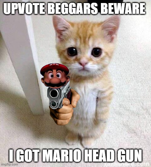 Cute Cat | UPVOTE BEGGARS BEWARE; I GOT MARIO HEAD GUN | image tagged in memes,cute cat | made w/ Imgflip meme maker