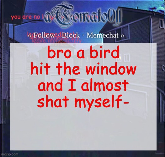aTomato011 | bro a bird hit the window and I almost shat myself- | image tagged in atomato011 | made w/ Imgflip meme maker