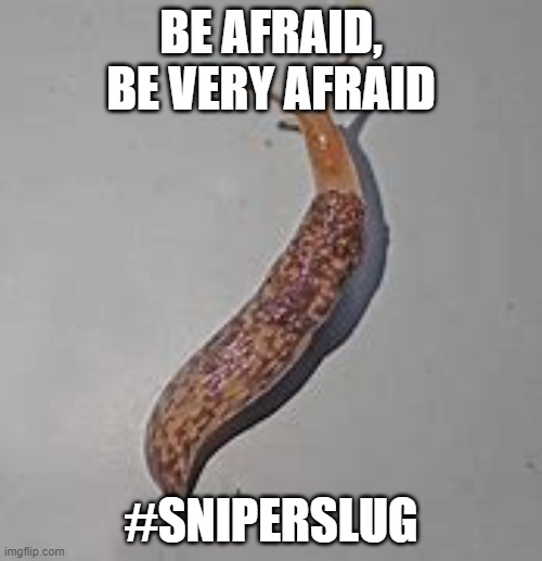 The Launch of #SniperSlug | BE AFRAID, BE VERY AFRAID; #SNIPERSLUG | image tagged in slug | made w/ Imgflip meme maker