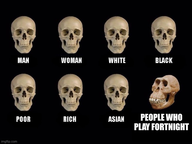 I am redoing because apparently it’s a repost | PEOPLE WHO PLAY FORTNIGHT | image tagged in empty skulls of truth | made w/ Imgflip meme maker