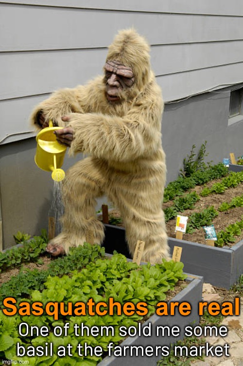 One of them sold me some basil at the farmers market Sasquatches are real | made w/ Imgflip meme maker