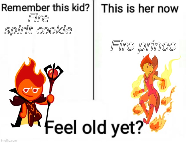 Fire spirit cookies difference | Fire spirit cookie; Fire prince | image tagged in remember this kid | made w/ Imgflip meme maker