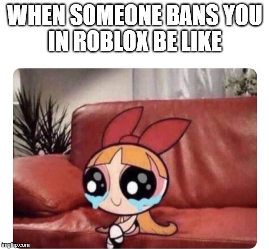 Powerpuff girl | WHEN SOMEONE BANS YOU
IN ROBLOX BE LIKE | image tagged in powerpuff girl | made w/ Imgflip meme maker