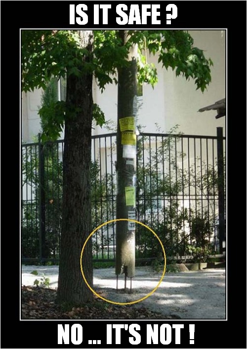 A Dangerous Post ? | IS IT SAFE ? NO ... IT'S NOT ! | image tagged in dangerous,post | made w/ Imgflip meme maker