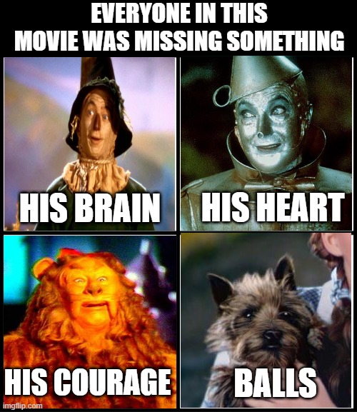 Lost | EVERYONE IN THIS MOVIE WAS MISSING SOMETHING; HIS HEART; HIS BRAIN; HIS COURAGE; BALLS | image tagged in blank drake format | made w/ Imgflip meme maker