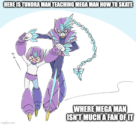 Mega Man and Tundra Man | HERE IS TUNDRA MAN TEACHING MEGA MAN HOW TO SKATE; WHERE MEGA MAN ISN'T MUCH A FAN OF IT | image tagged in megaman,tundraman,memes | made w/ Imgflip meme maker