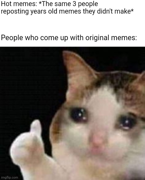 How can it be a hot meme if it's a repost? | Hot memes: *The same 3 people reposting years old memes they didn't make*; People who come up with original memes: | image tagged in approved crying cat | made w/ Imgflip meme maker