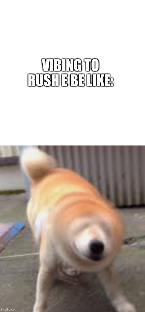 Extreme shaking | VIBING TO RUSH E BE LIKE: | image tagged in memes,blank transparent square,funny,vibe,dog | made w/ Imgflip meme maker