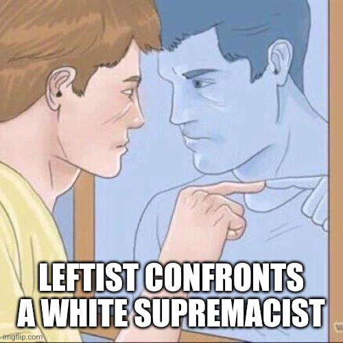 Pointing mirror guy | LEFTIST CONFRONTS A WHITE SUPREMACIST | image tagged in pointing mirror guy | made w/ Imgflip meme maker