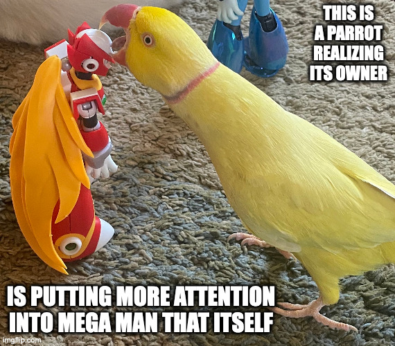 Parrot Biting Figurine Zero's Head | THIS IS A PARROT REALIZING ITS OWNER; IS PUTTING MORE ATTENTION INTO MEGA MAN THAT ITSELF | image tagged in birds,memes,megaman,megaman x,zero | made w/ Imgflip meme maker