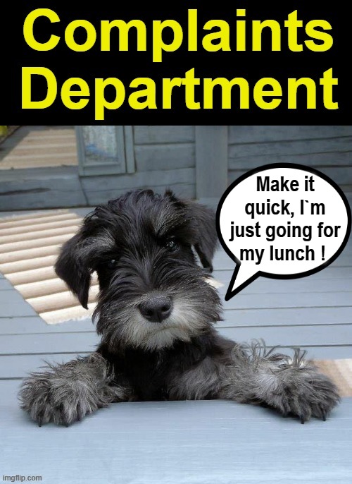 Make it quick ! | Make it
quick, I`m
just going for
my lunch ! | image tagged in complaint | made w/ Imgflip meme maker