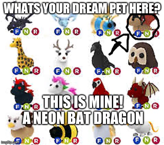 Adopt me dream pets <3 | WHATS YOUR DREAM PET HERE? THIS IS MINE! A NEON BAT DRAGON | image tagged in adopt me pets | made w/ Imgflip meme maker