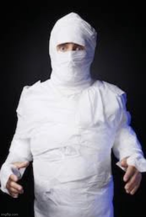 TP Mummy | image tagged in tp mummy | made w/ Imgflip meme maker