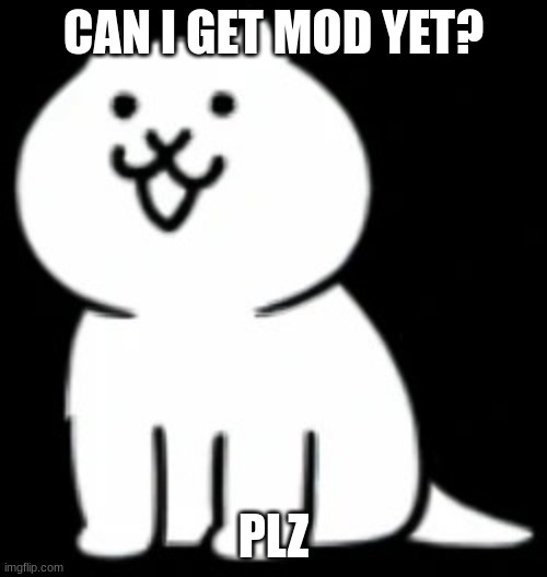 ive been waiting | CAN I GET MOD YET? PLZ | image tagged in modern cat my beloved,cat,memes,funny,meow,mod | made w/ Imgflip meme maker