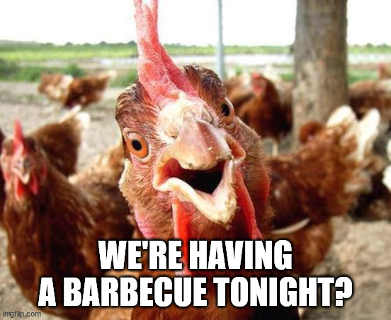 Chicken | WE'RE HAVING A BARBECUE TONIGHT? | image tagged in chicken | made w/ Imgflip meme maker