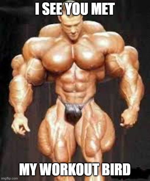 Bodybuilding | I SEE YOU MET MY WORKOUT BIRD | image tagged in bodybuilding | made w/ Imgflip meme maker