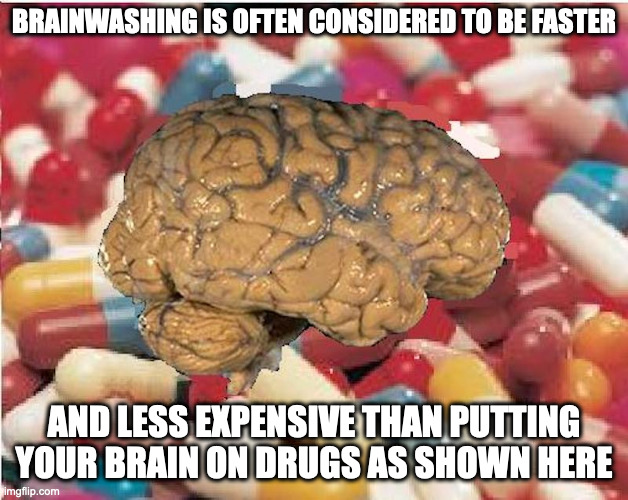 Brain on Drugs | BRAINWASHING IS OFTEN CONSIDERED TO BE FASTER; AND LESS EXPENSIVE THAN PUTTING YOUR BRAIN ON DRUGS AS SHOWN HERE | image tagged in brainwashing,memes | made w/ Imgflip meme maker