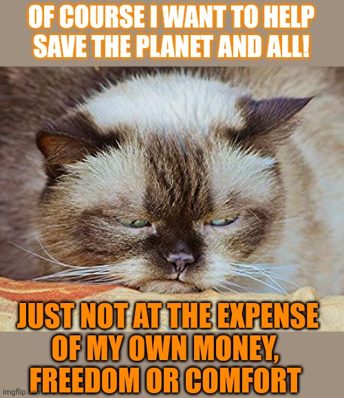 This #lolcat wonders if people are willing to face the consequences of being selfish | OF COURSE I WANT TO HELP
SAVE THE PLANET AND ALL! JUST NOT AT THE EXPENSE
OF MY OWN MONEY, 
FREEDOM OR COMFORT | image tagged in think about it,lolcat,selfishness,climate change,save the earth | made w/ Imgflip meme maker