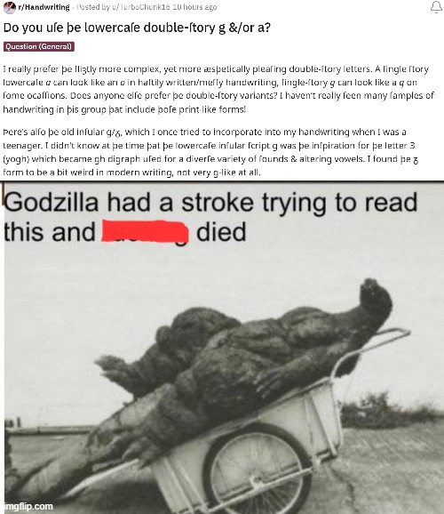 Why did you type it like that | image tagged in godzilla | made w/ Imgflip meme maker