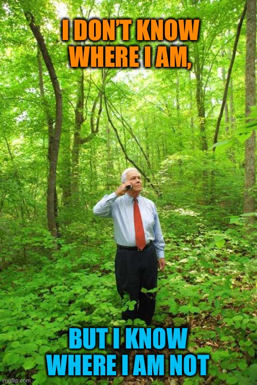 Lost in the Woods | I DON’T KNOW WHERE I AM, BUT I KNOW WHERE I AM NOT | image tagged in lost in the woods | made w/ Imgflip meme maker