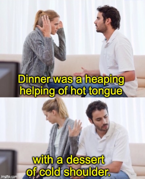 Dinner | Dinner was a heaping helping of hot tongue; with a dessert of cold shoulder. | image tagged in arguing couple 2 | made w/ Imgflip meme maker