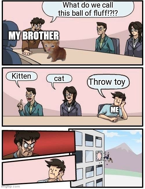 Boardroom Meeting Suggestion Meme | What do we call this ball of fluff!?!? MY BROTHER; Kitten; cat; Throw toy; ME | image tagged in memes,boardroom meeting suggestion | made w/ Imgflip meme maker