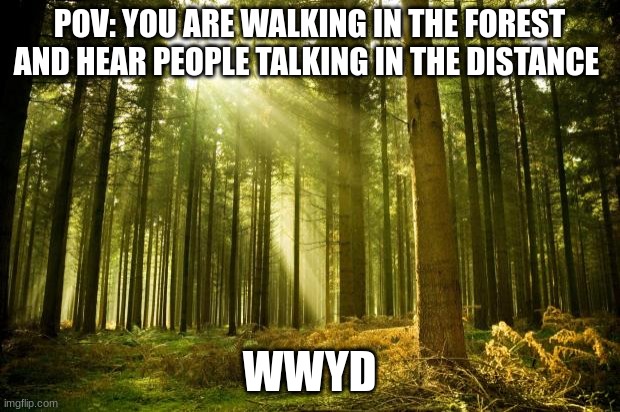 meme4 | POV: YOU ARE WALKING IN THE FOREST AND HEAR PEOPLE TALKING IN THE DISTANCE; WWYD | image tagged in sunlit forest,creepypasta | made w/ Imgflip meme maker