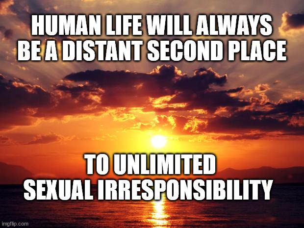 Sunset |  HUMAN LIFE WILL ALWAYS BE A DISTANT SECOND PLACE; TO UNLIMITED SEXUAL IRRESPONSIBILITY | image tagged in sunset | made w/ Imgflip meme maker