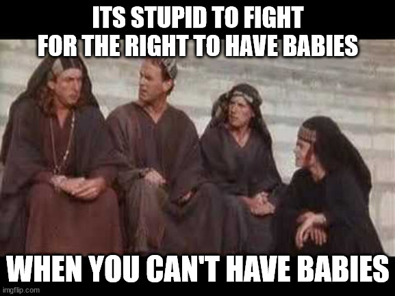  ITS STUPID TO FIGHT FOR THE RIGHT TO HAVE BABIES; WHEN YOU CAN'T HAVE BABIES | made w/ Imgflip meme maker