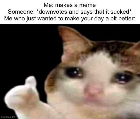 Has this ever happened to you? | Me: makes a meme
Someone: *downvotes and says that it sucked*
Me who just wanted to make your day a bit better: | image tagged in sad cat thumbs up | made w/ Imgflip meme maker