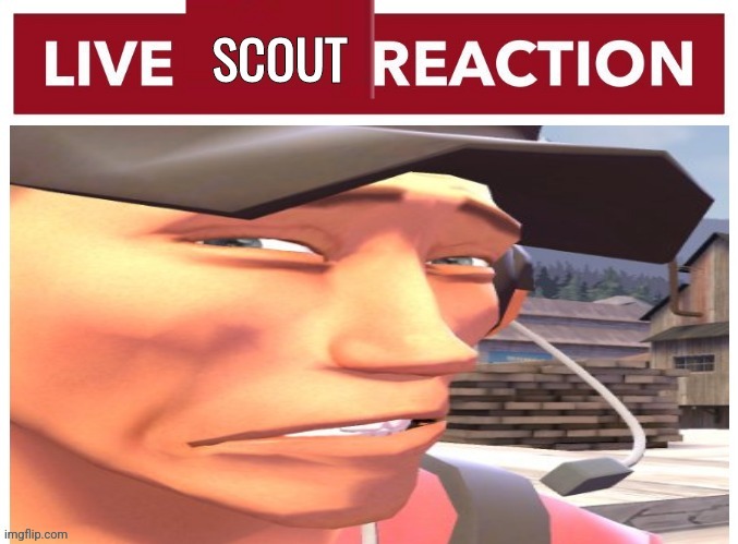 Live scout reaction | image tagged in live scout reaction | made w/ Imgflip meme maker