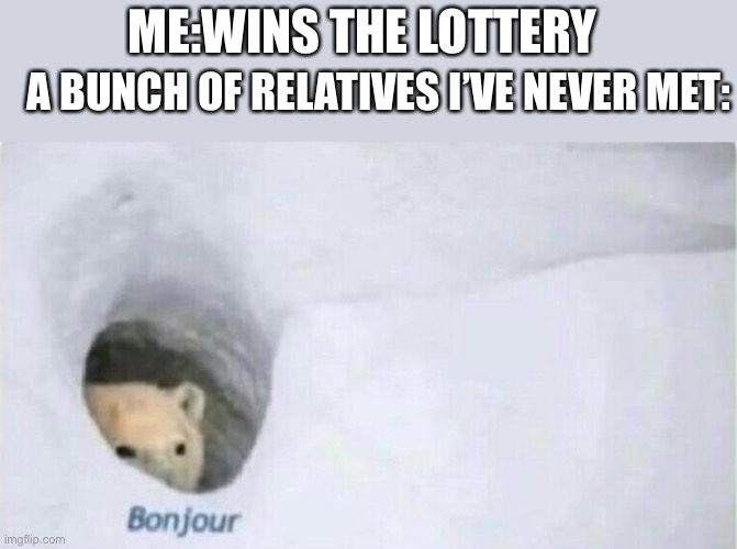 Bonjour | ME:WINS THE LOTTERY; A BUNCH OF RELATIVES I’VE NEVER MET: | image tagged in bonjour bear | made w/ Imgflip meme maker