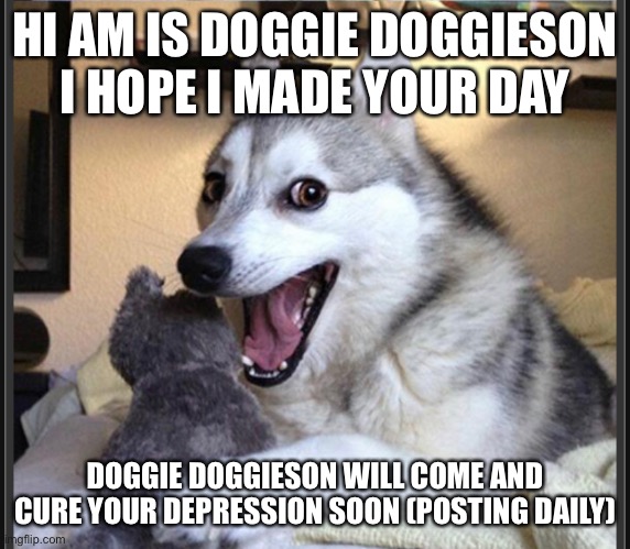 doggie | HI AM IS DOGGIE DOGGIESON I HOPE I MADE YOUR DAY; DOGGIE DOGGIESON WILL COME AND CURE YOUR DEPRESSION SOON (POSTING DAILY) | image tagged in dogs | made w/ Imgflip meme maker