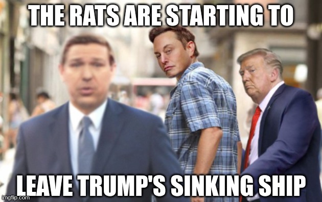 It's happening already | THE RATS ARE STARTING TO; LEAVE TRUMP'S SINKING SHIP | image tagged in musk desantis trump,trump,elon musk | made w/ Imgflip meme maker