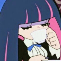 Stocking sippin tea Blank Meme Template