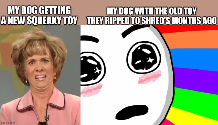 MY DOG WITH THE OLD TOY THEY RIPPED TO SHRED'S MONTHS AGO; MY DOG GETTING A NEW SQUEAKY TOY | image tagged in disgusted kristin wiig,amazing | made w/ Imgflip meme maker