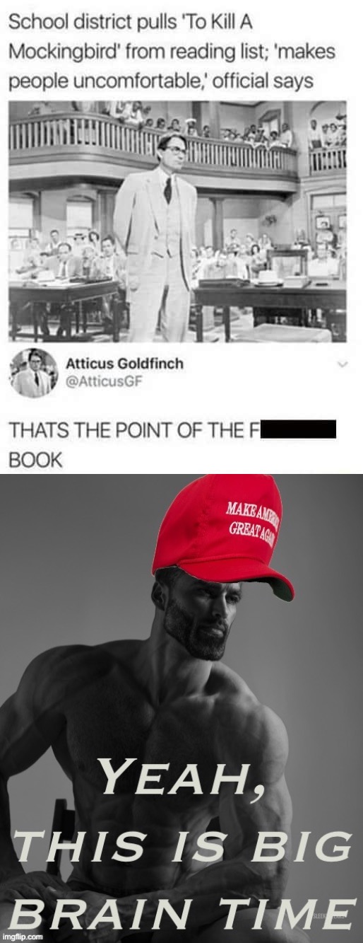 Confronting racism should make you uncomfortable. | image tagged in to kill a mockingbird makes people uncomfortable,maga giga chad yeah this is big brain time | made w/ Imgflip meme maker