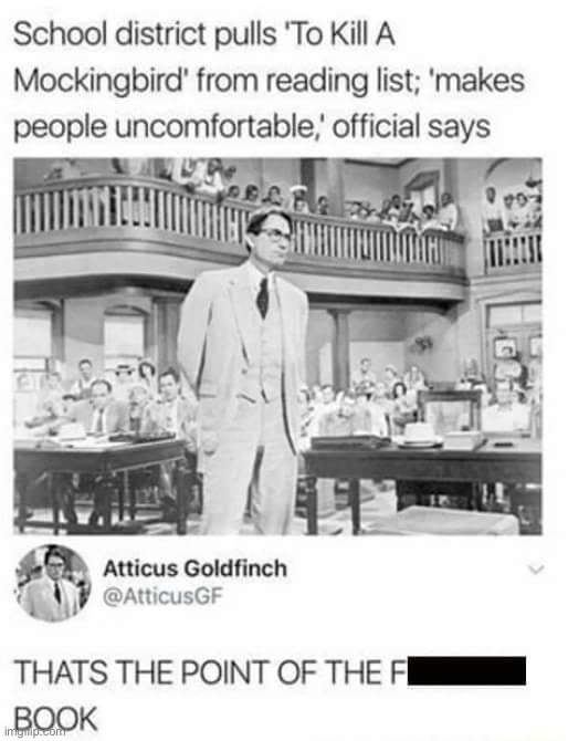 we must protect our children from discomfort, maga | image tagged in to kill a mockingbird makes people uncomfortable,maga,magaa,magaaa,magaaaa,magaaaaa | made w/ Imgflip meme maker