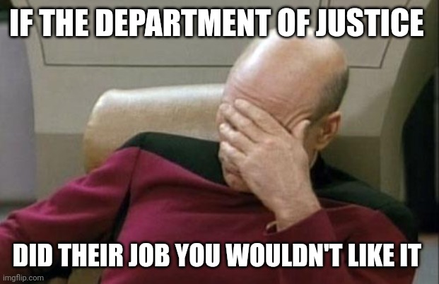 Captain Picard Facepalm Meme | IF THE DEPARTMENT OF JUSTICE DID THEIR JOB YOU WOULDN'T LIKE IT | image tagged in memes,captain picard facepalm | made w/ Imgflip meme maker