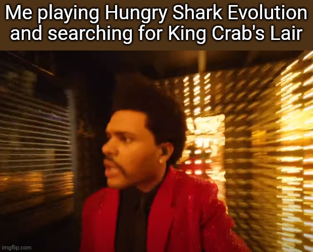 It be like that sometimes |  Me playing Hungry Shark Evolution and searching for King Crab's Lair | image tagged in memes,hungry,shark,evolution | made w/ Imgflip meme maker